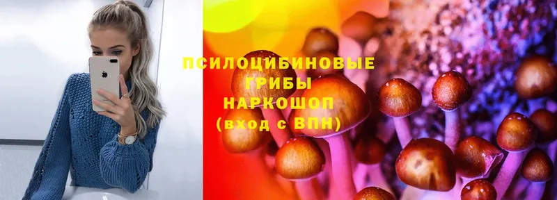 Галлюциногенные грибы Psilocybine cubensis  OMG зеркало  Тотьма 